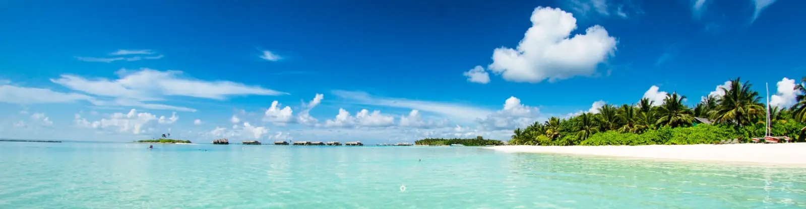 WE CURATE TRAVEL EXPERIENCES - banner image